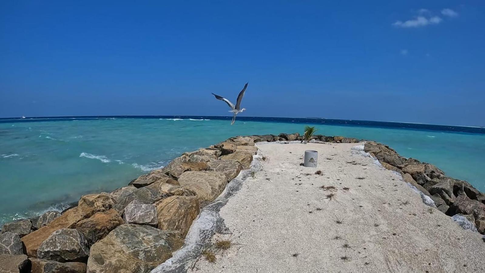 Rashuthere Maldives Rasdhoo Exterior foto