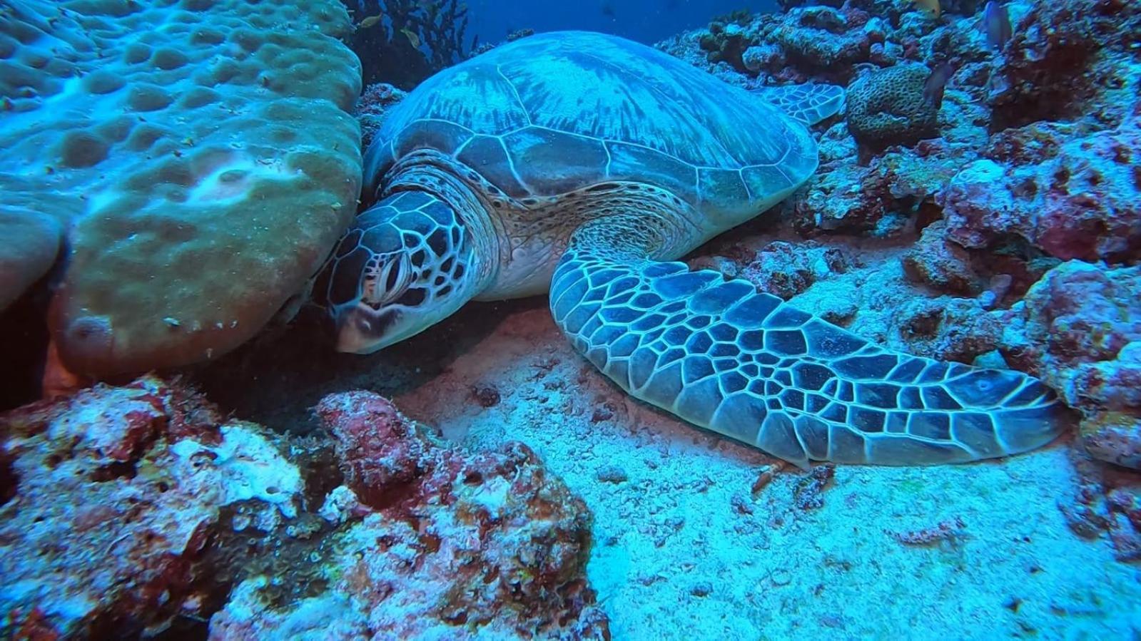 Rashuthere Maldives Rasdhoo Exterior foto